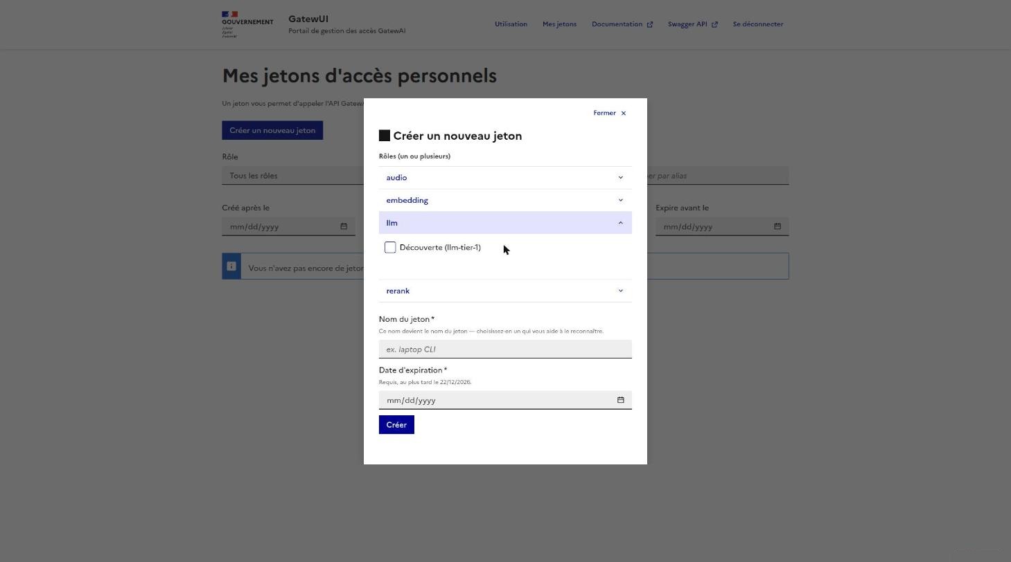 Sélection du rôle Découverte pour le service llm