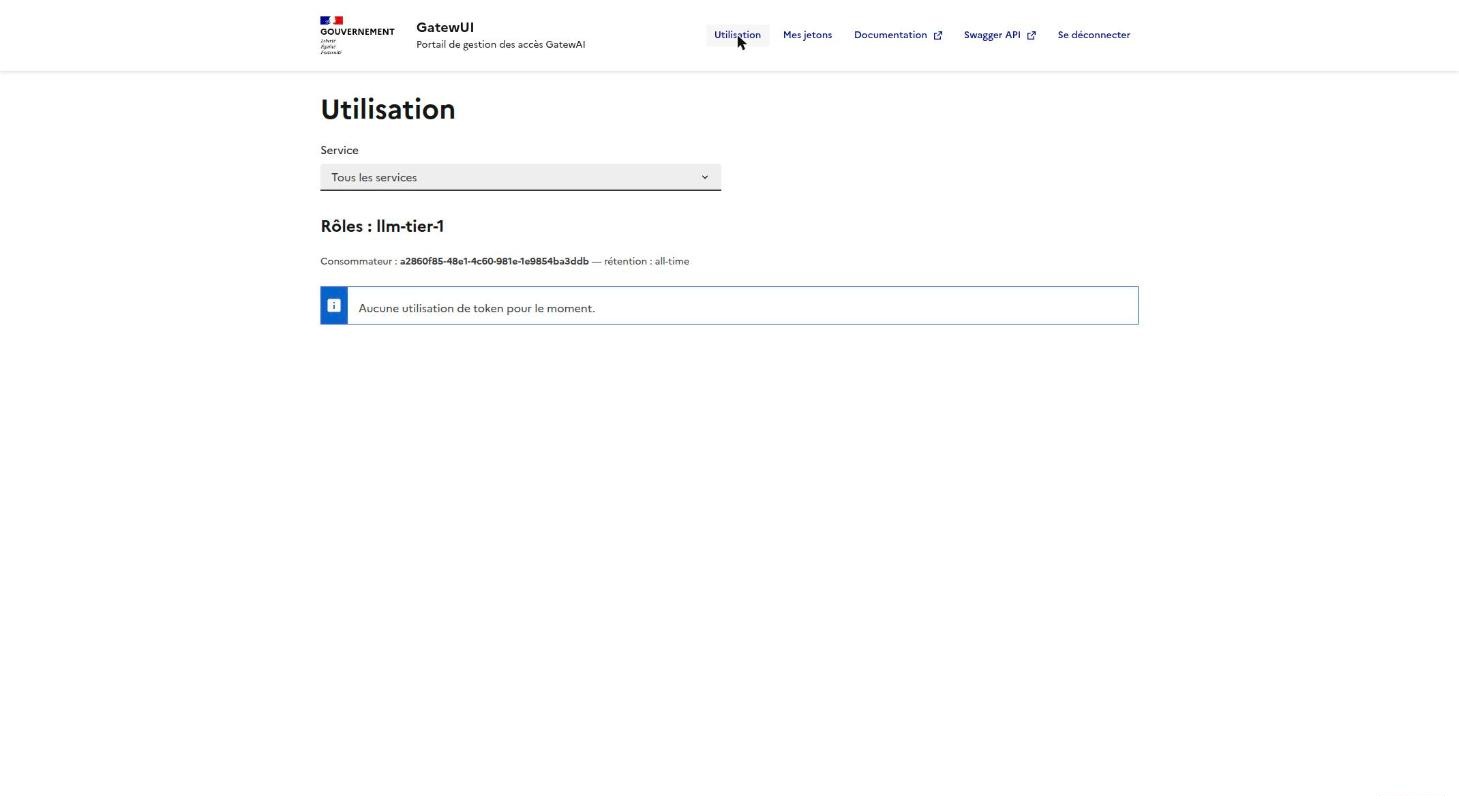Page Utilisation avec le rôle llm-tier-1, aucune consommation pour le moment